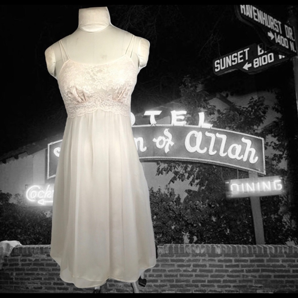 Vintage Chiffon Negligee Vanity Fair
